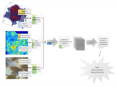 Editorial: Elucidating Microbial Processes in Soils and Sediments: Microscale Measurements and Modeling